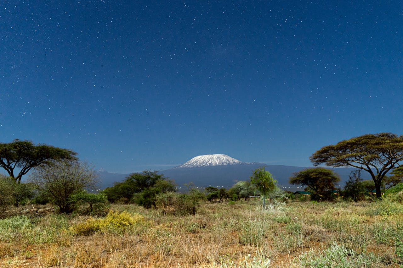 Lemosho forest to Shira plateau